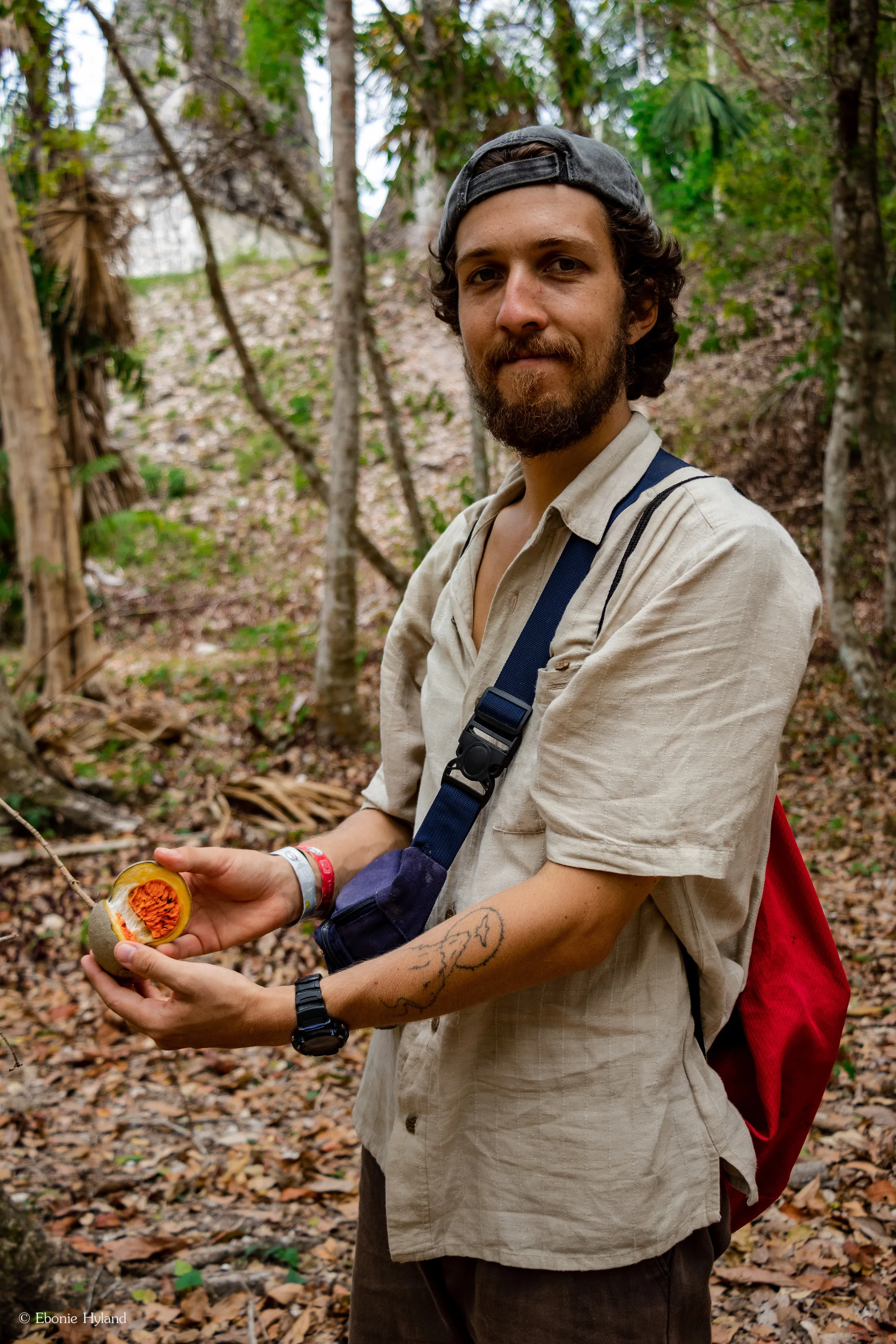 Tikal, Guatemala