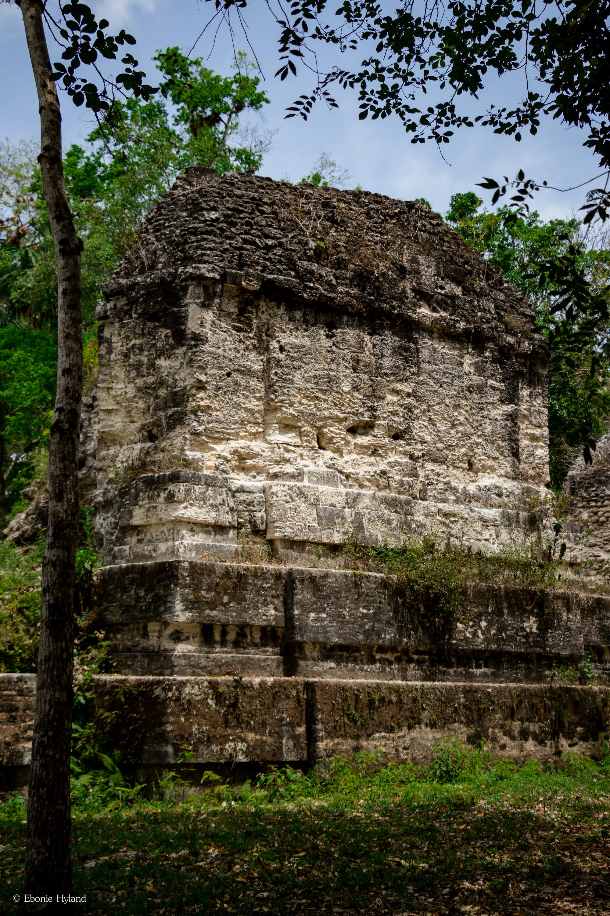 Tikal, Guatemala