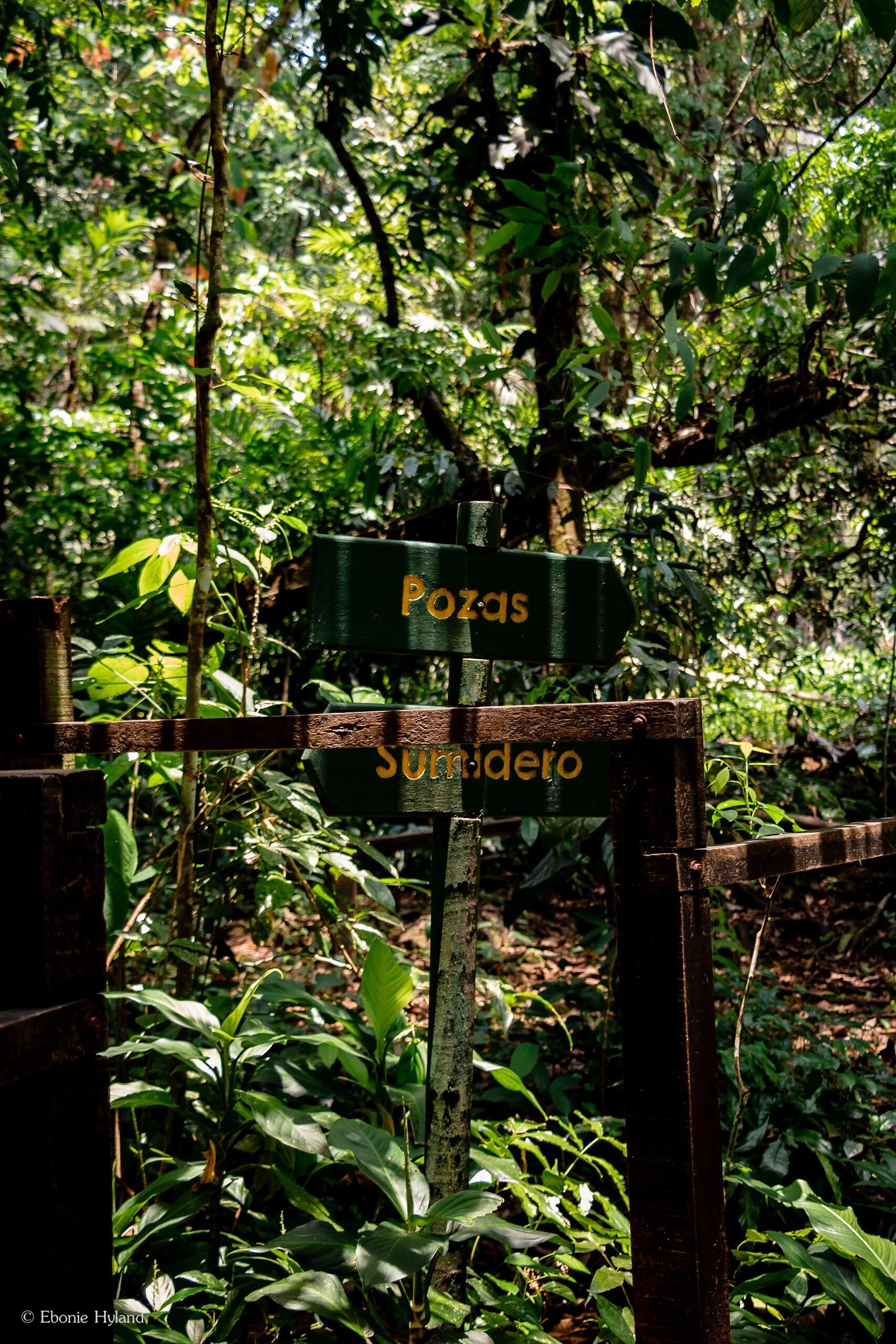 Semuc Champey, Guatemala