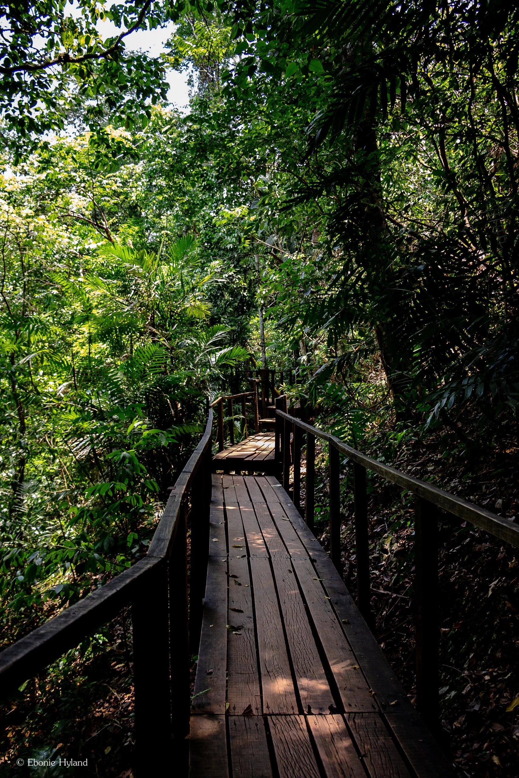 Semuc Champey, Guatemala
