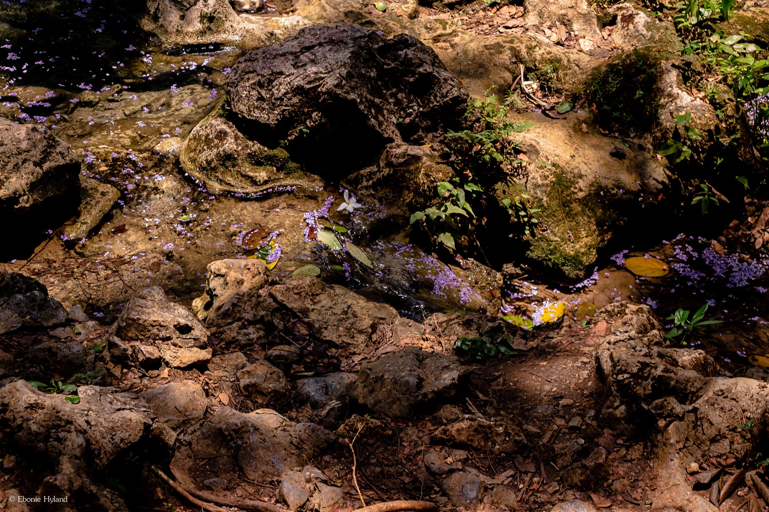 Semuc Champey, Guatemala
