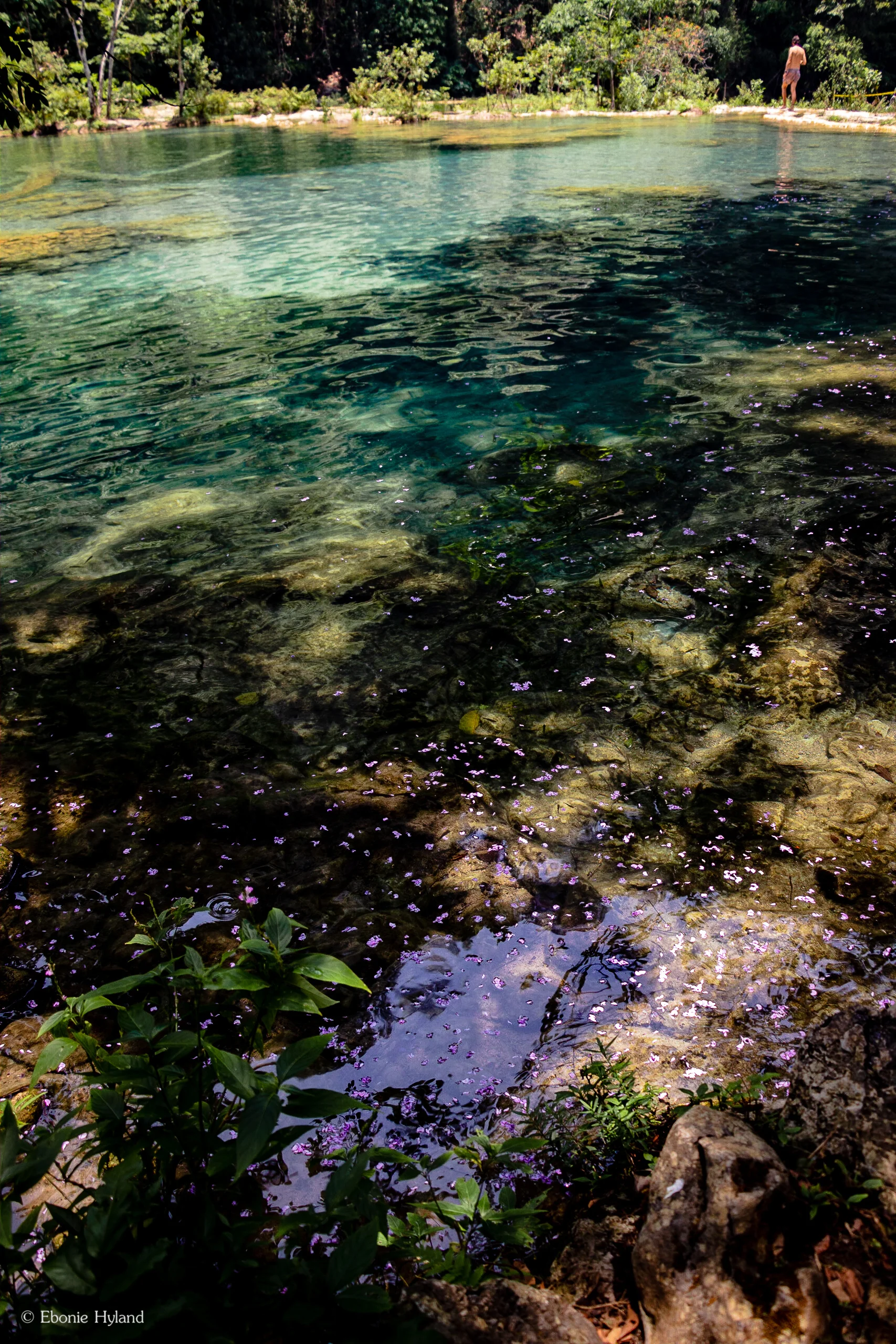 Semuc Champey, Guatemala