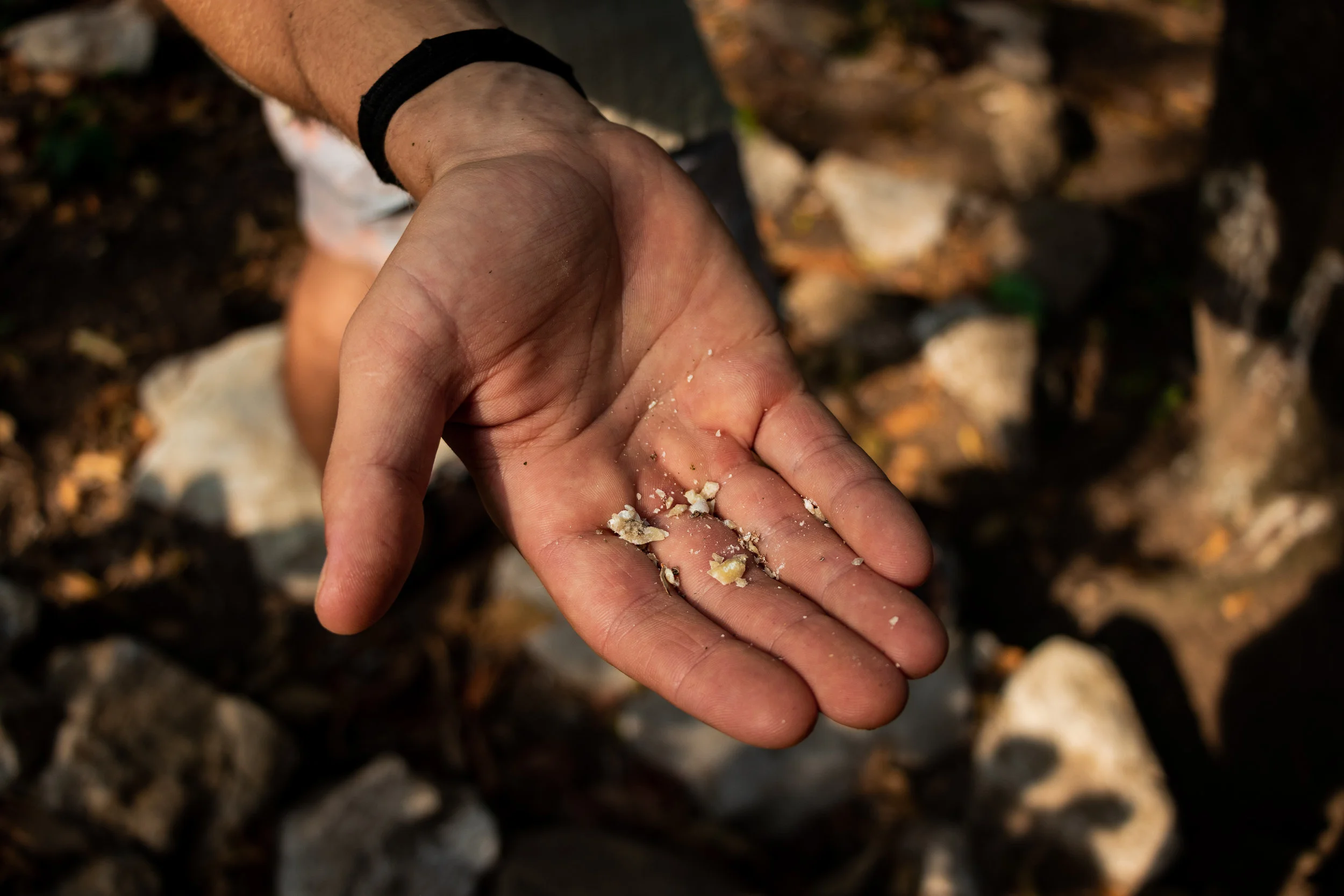 Semuc Champey, Guatemala