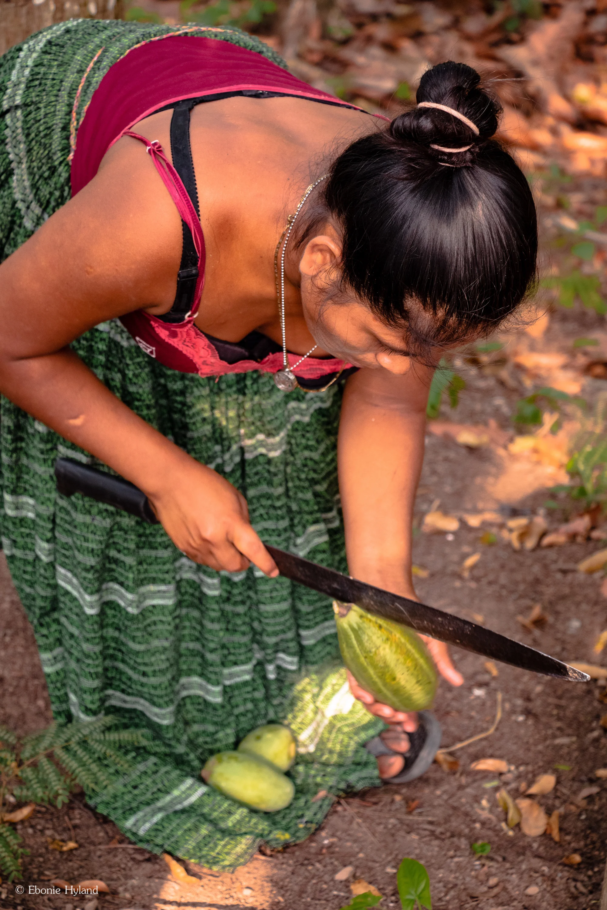 Semuc Champey, Guatemala