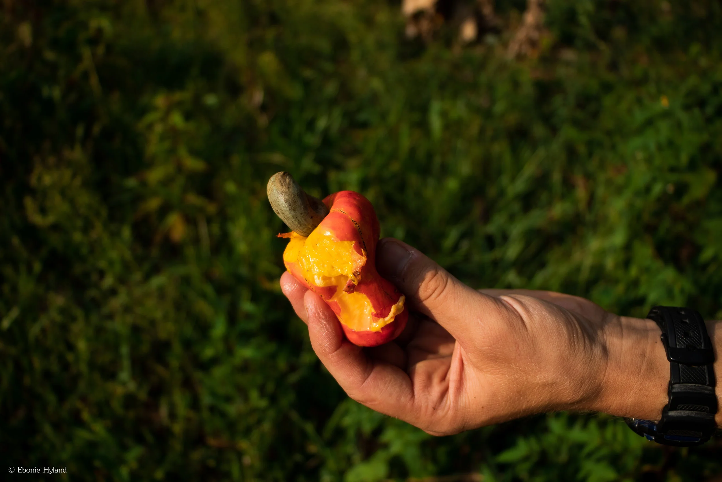 Semuc Champey, Guatemala