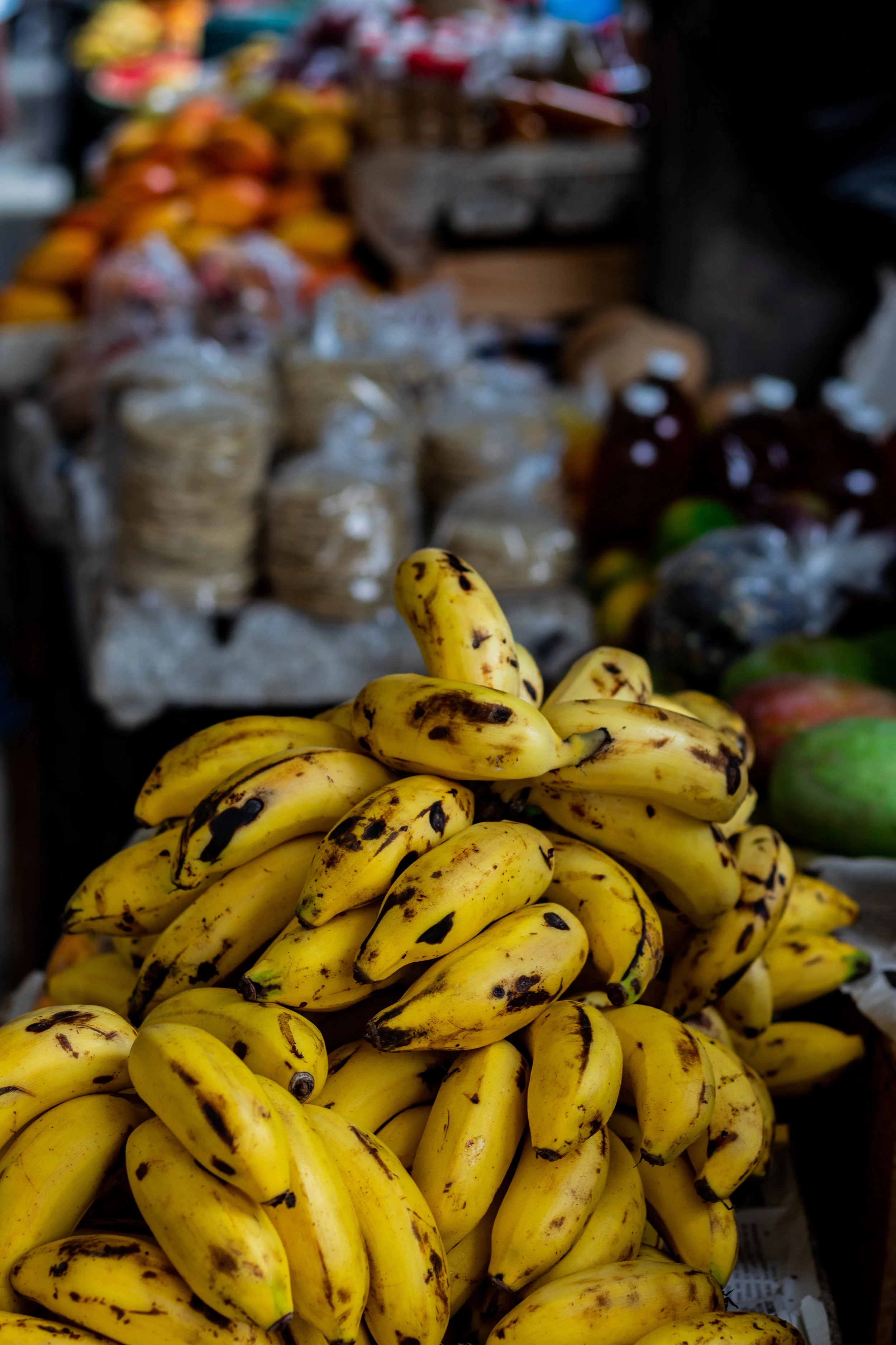 What is Low Impact Living?