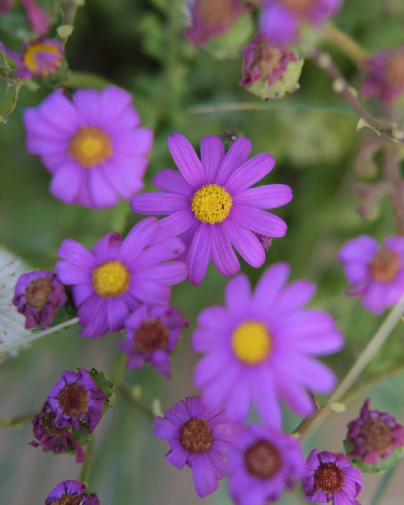 Intro to Visualisation | 'Manifesting in the Real World' Episode Five