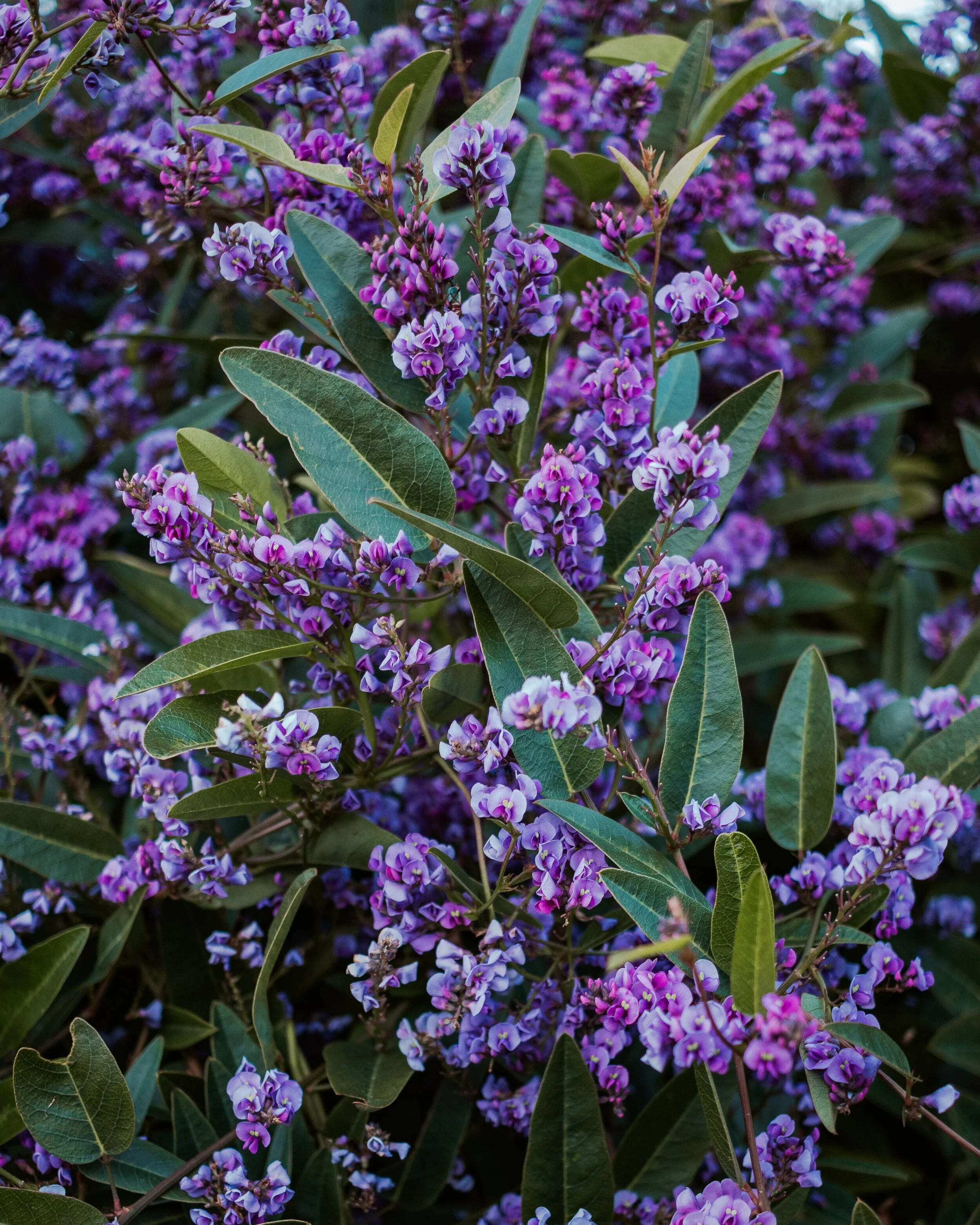 2020 | A Year at Home