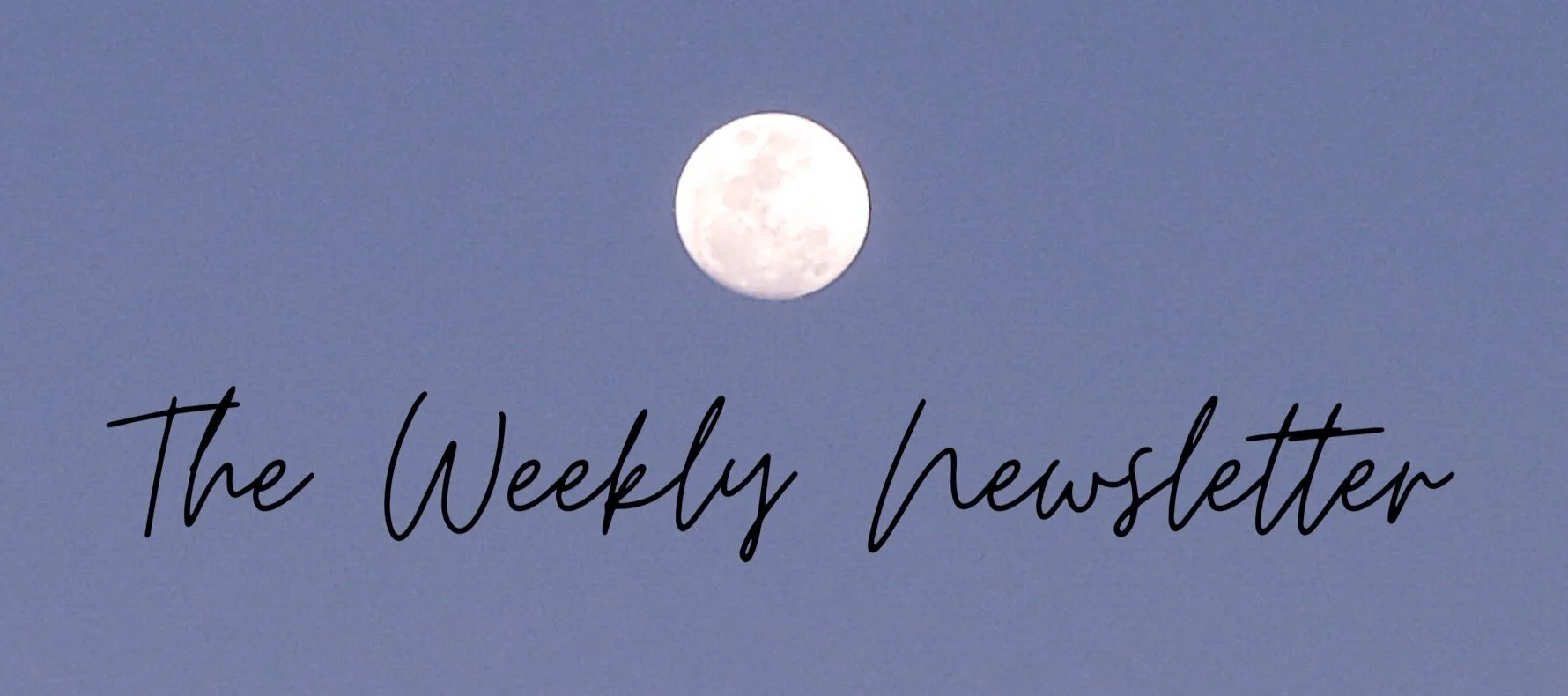 Newsletter Banner.png