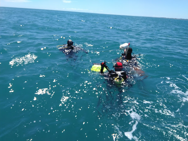 Divers.png