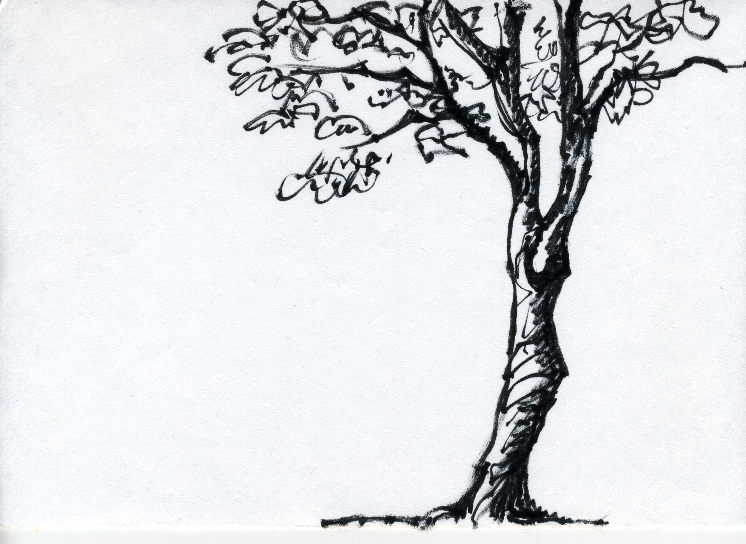 tree001.png