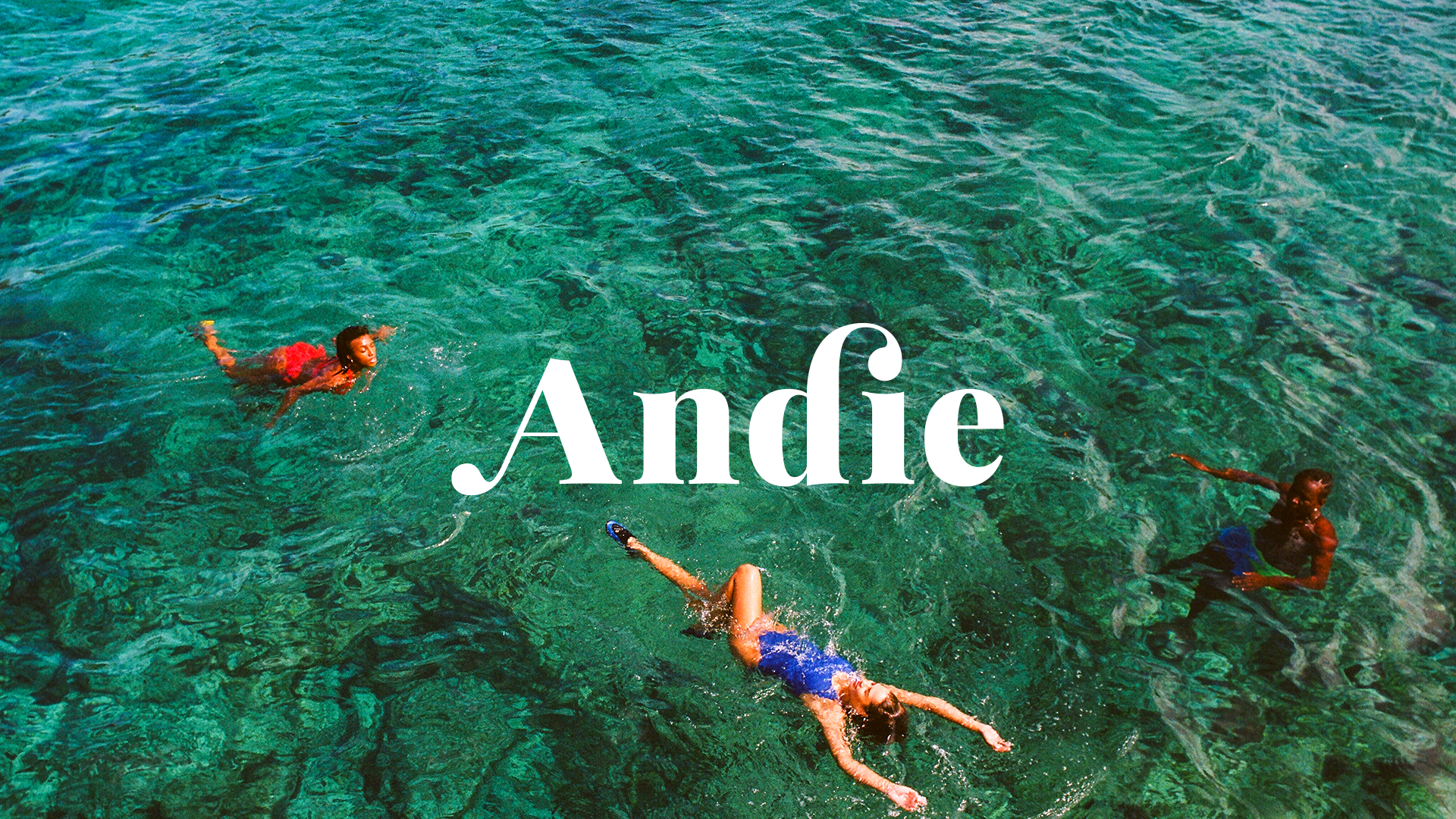 AndiePortfolioCover.png
