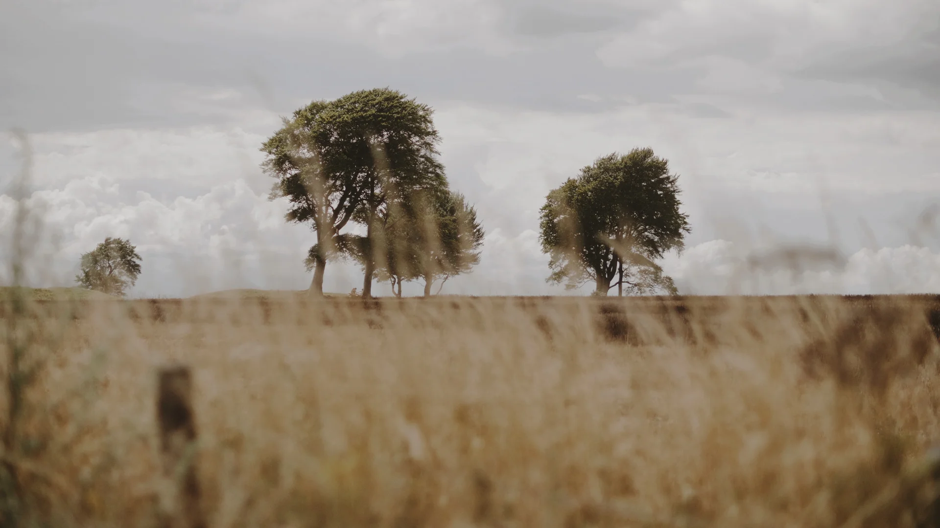 Locations.00_02_20_16.Still032.jpg