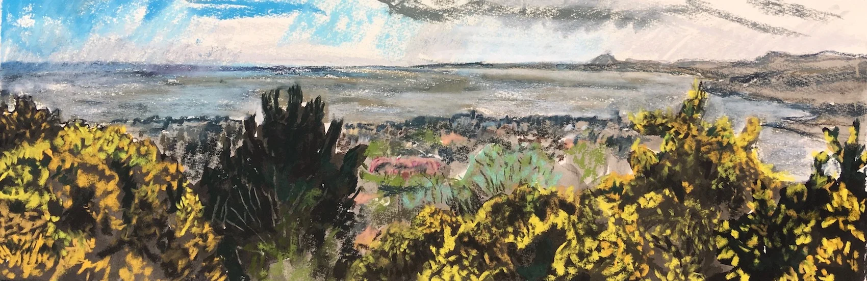 Portobello, Blossom and Spring Gorse