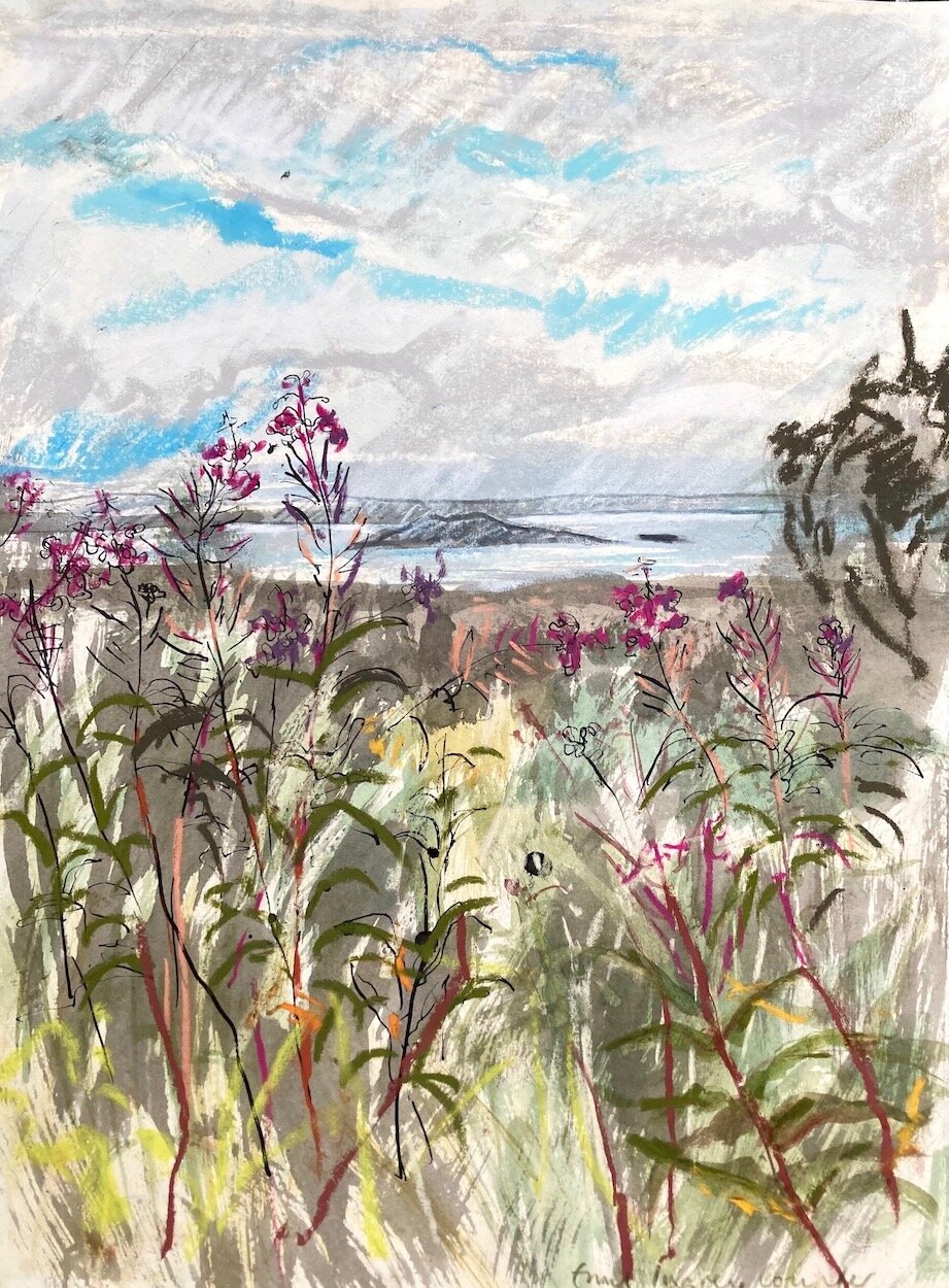 Rosebay willowherb and coastline