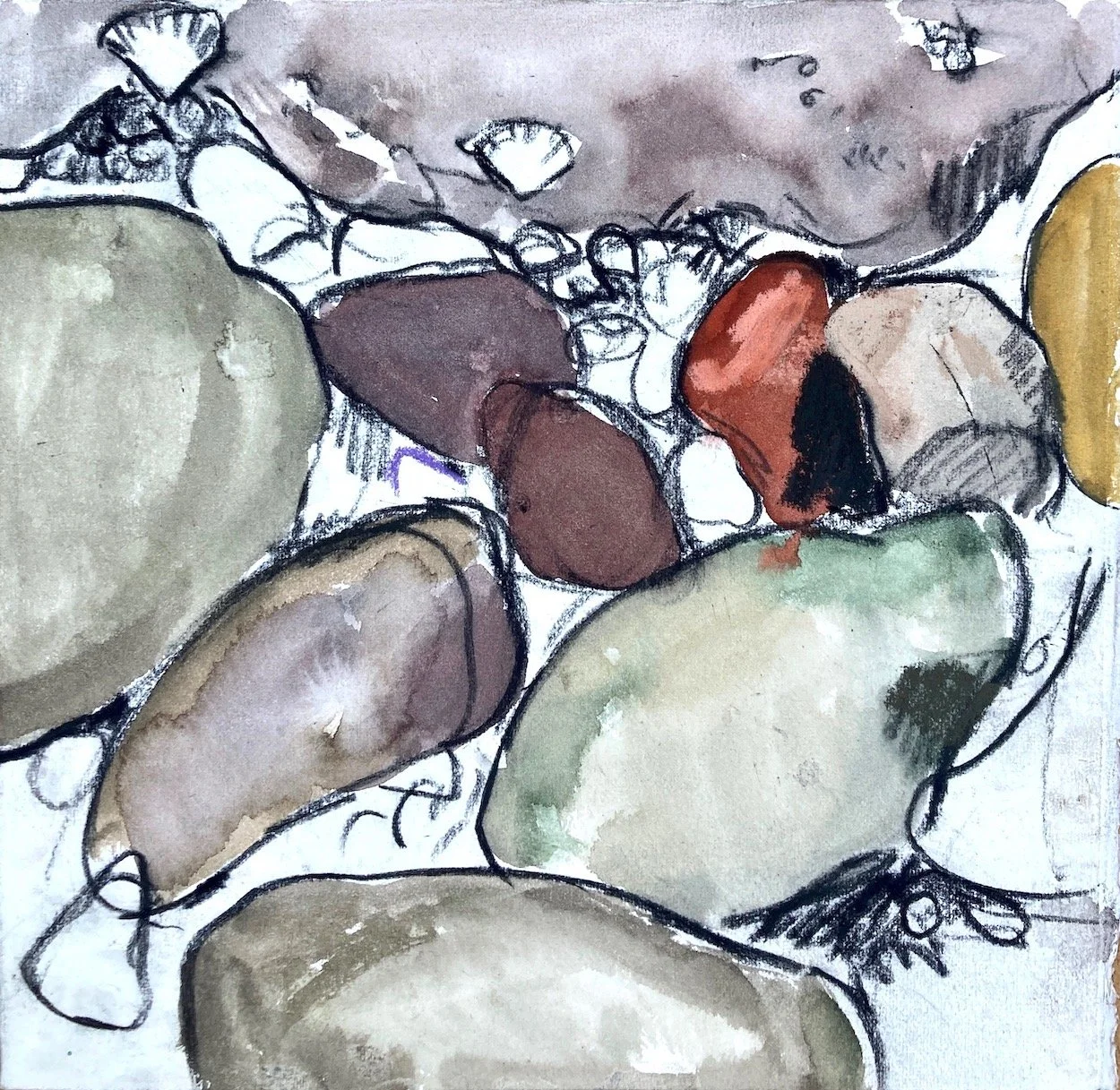 Stones and limpets