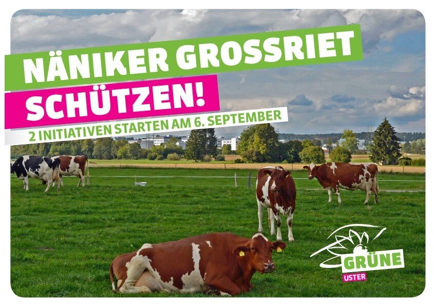 Greifenseestrasse Flyer Bild.jpg