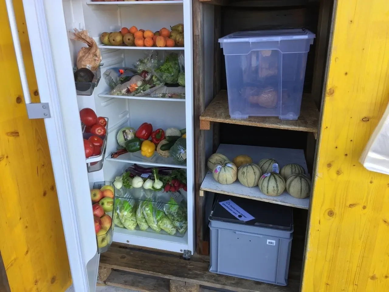 Food Waste Infos &amp; Gemeinsames Kochen