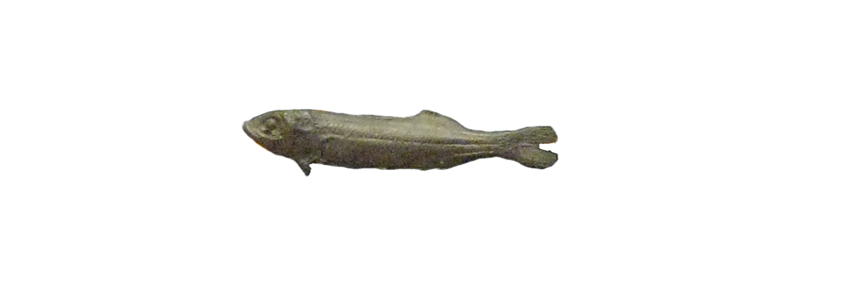 Sævarangi