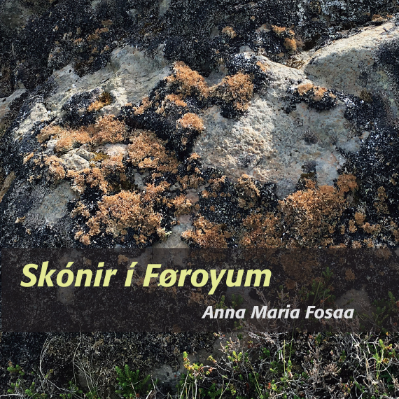 Skónir í Føroyum