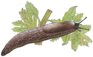 img_07.png