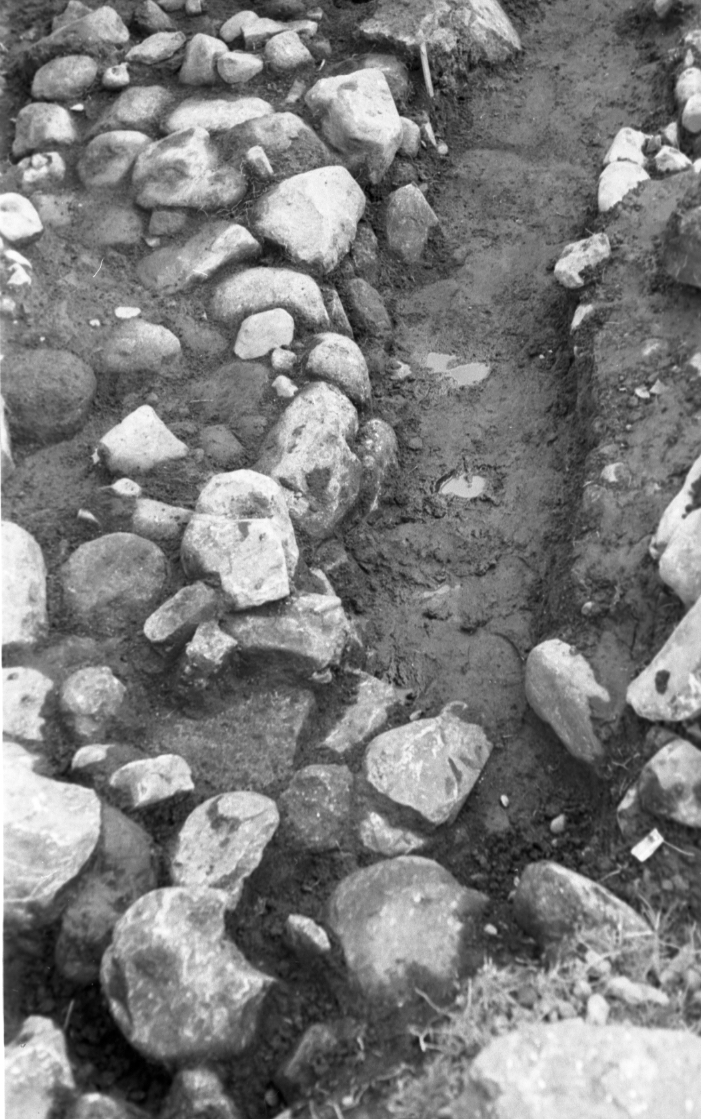 R-1956-06-22.jpeg