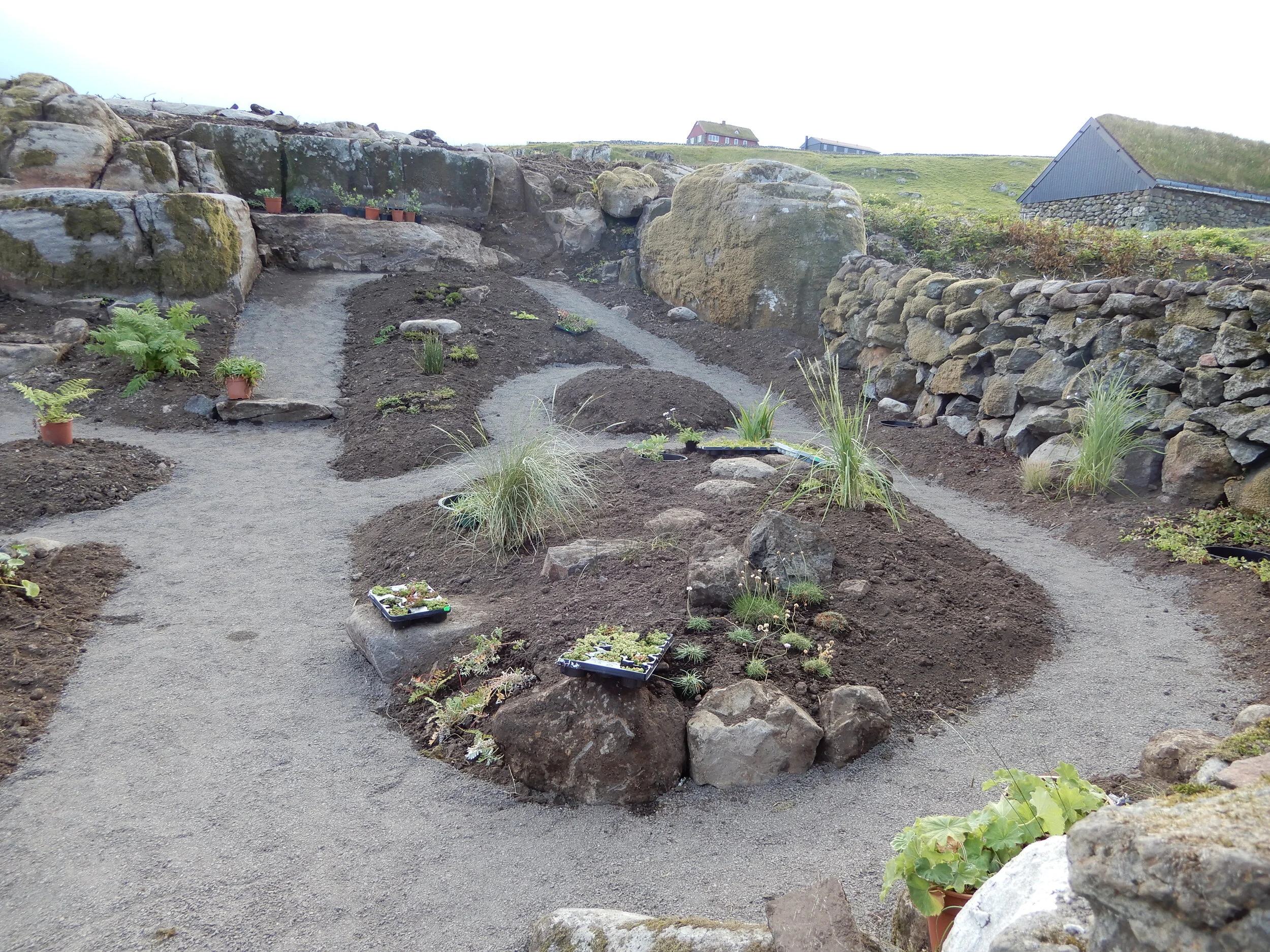 Plantufrøðiligi urtagarður Tjóðsavnsins í Hoyvík letur alment upp.