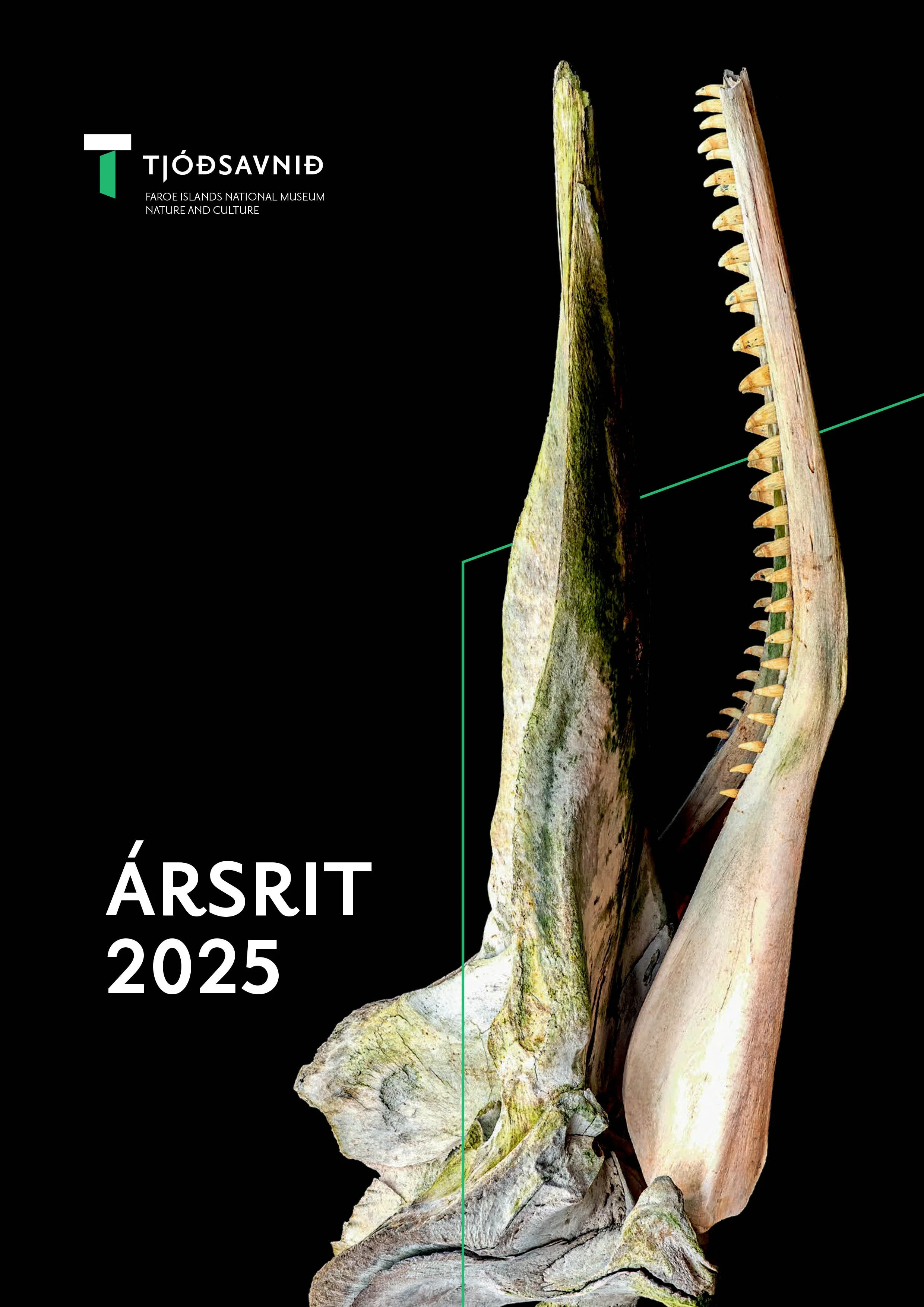 Ársrit 2025