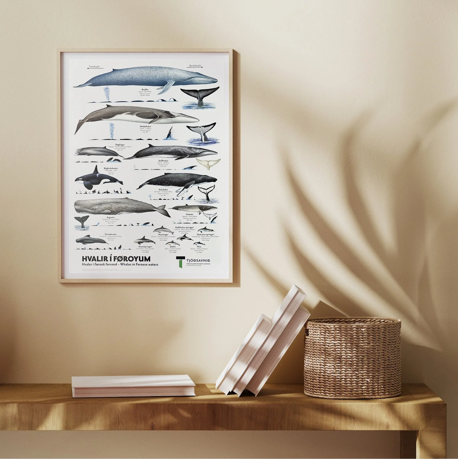 Nýggj plakat við hvali í føroyskum sjógvi