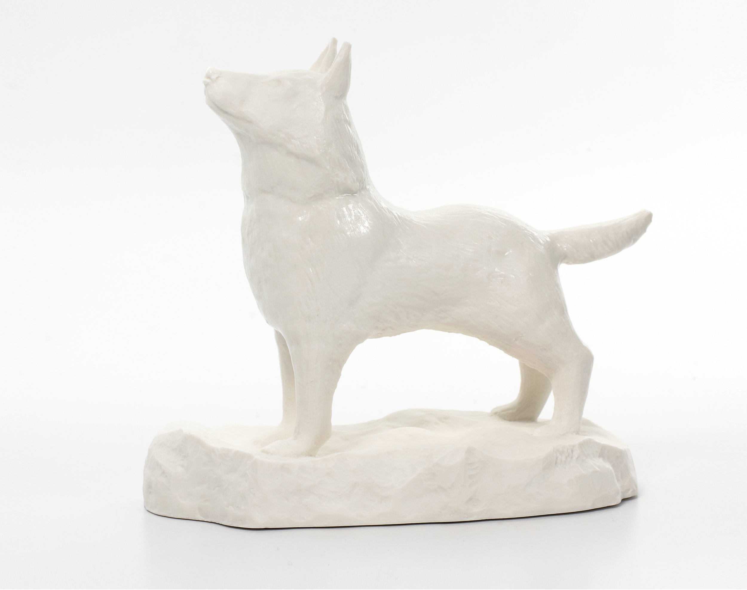 Dog_03_Hi_R_WEB.jpg