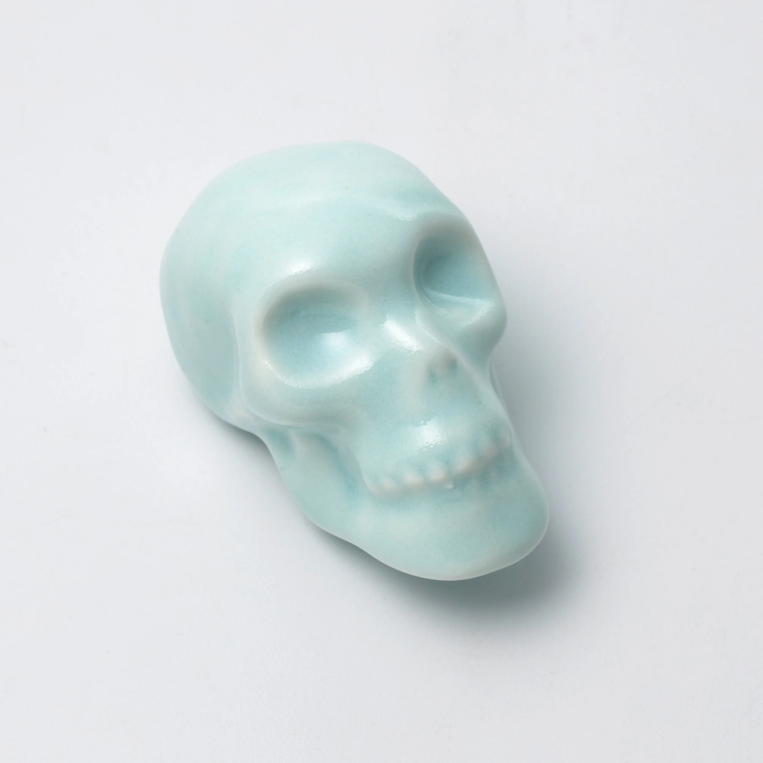 Skull_01-HighRes_R_WEB.jpg