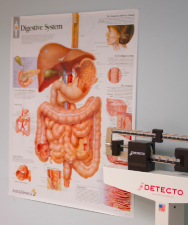 A body chart showing the digestive system as it relates to gastroenterology
