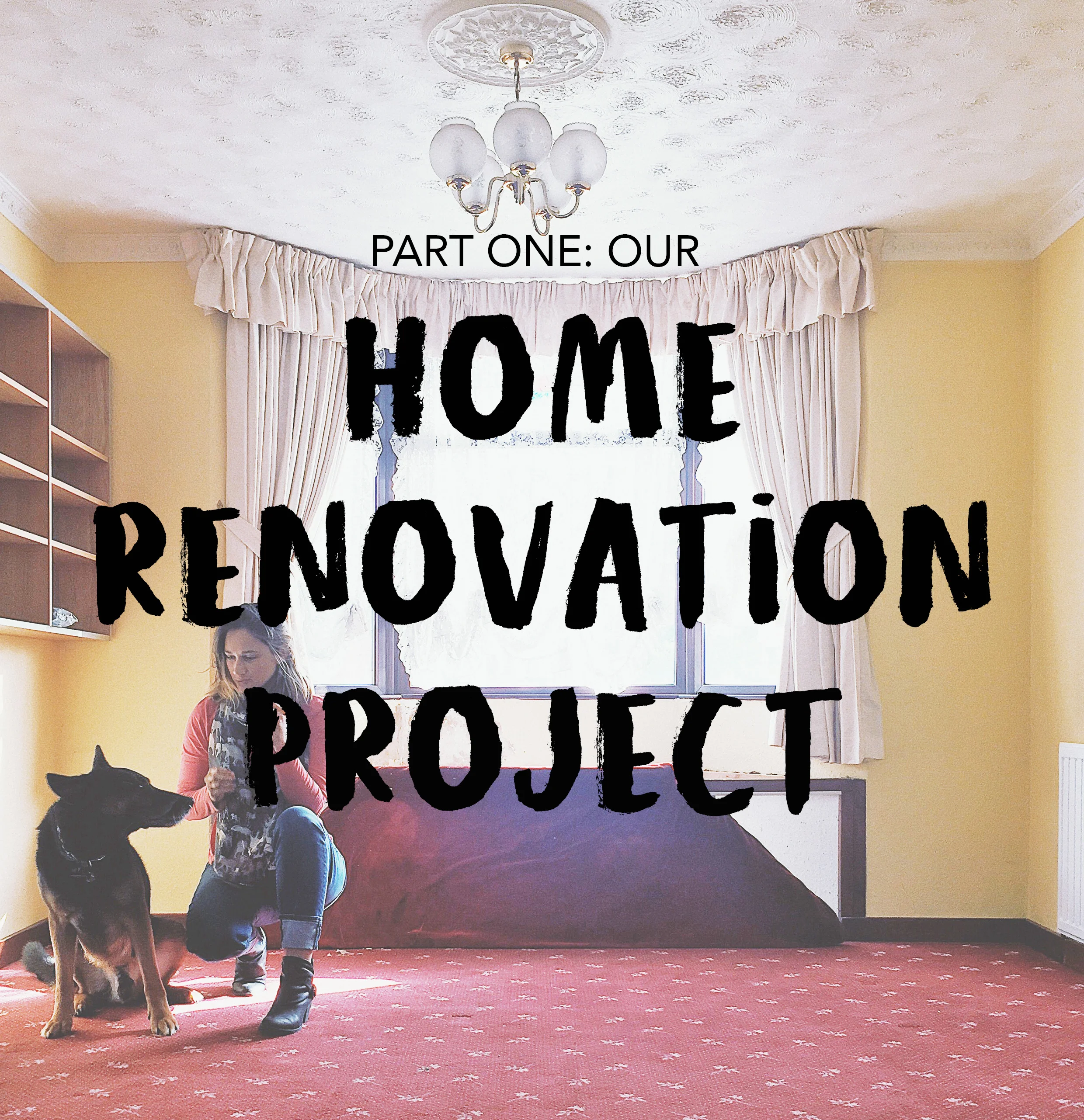 HOMERENOVATION 1.jpg