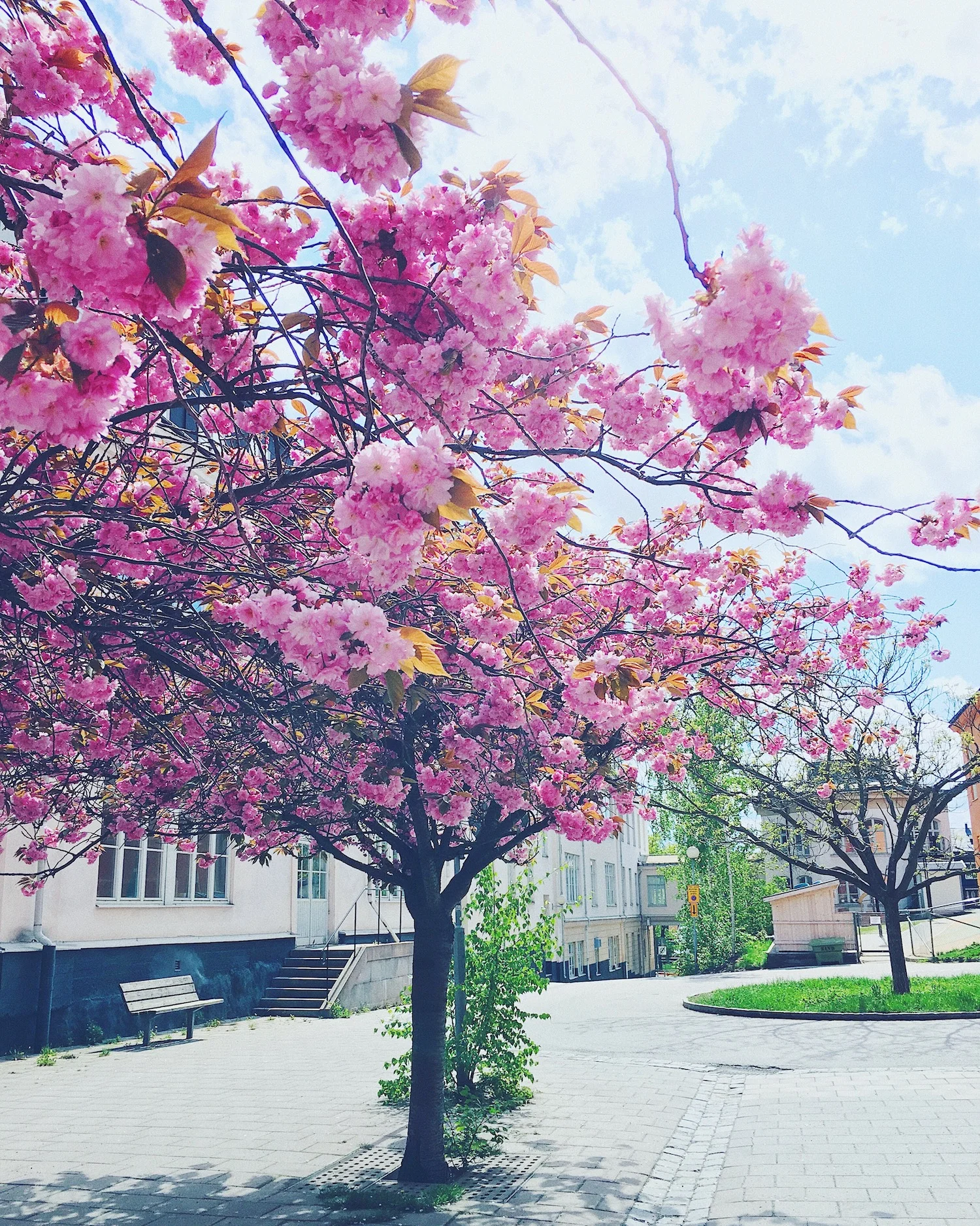 Spring in Soderholm