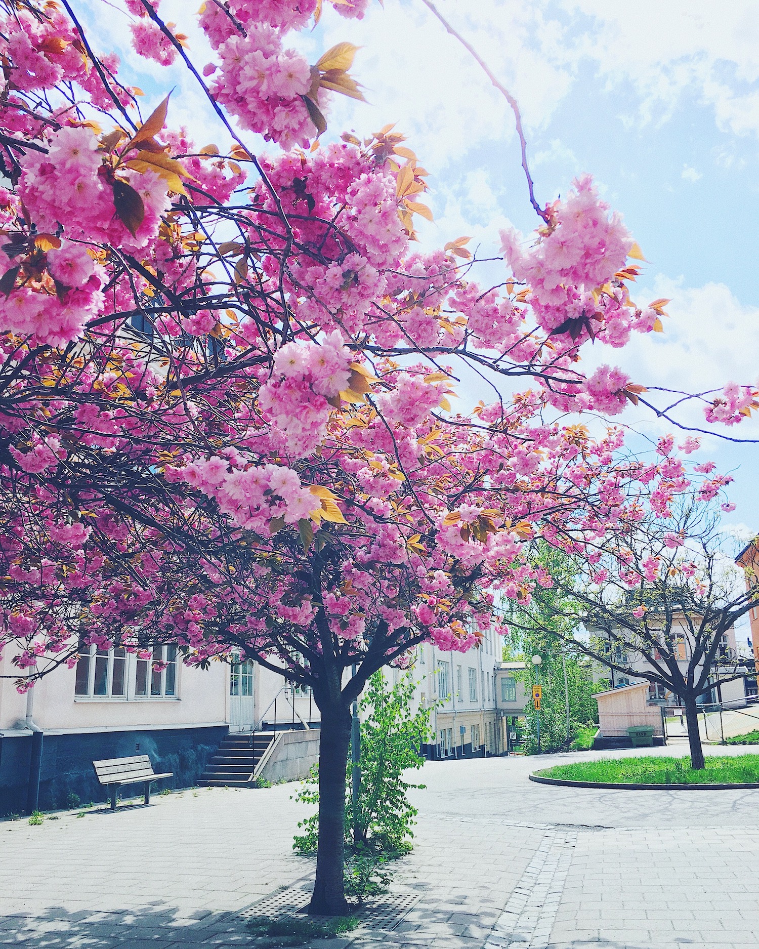 Spring in Soderholm