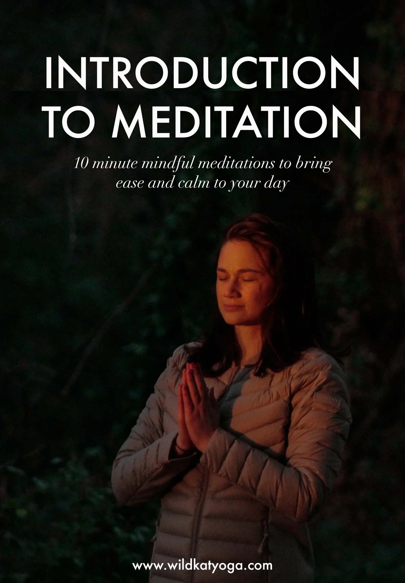 Introduction to Meditation.jpg