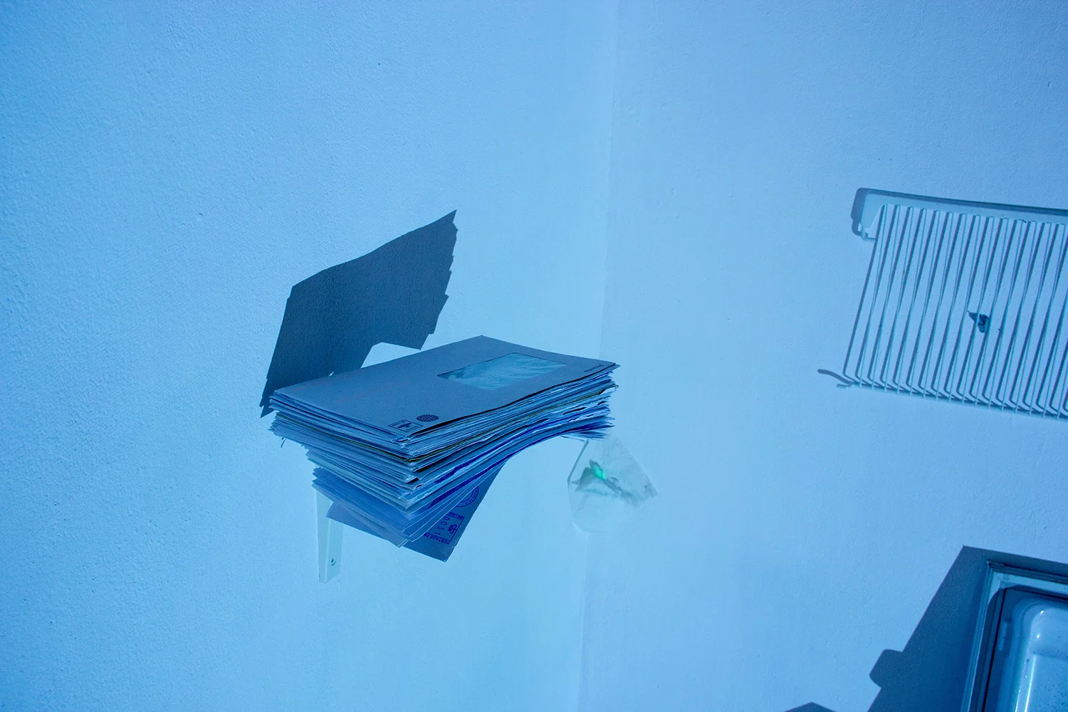 web-7.jpg