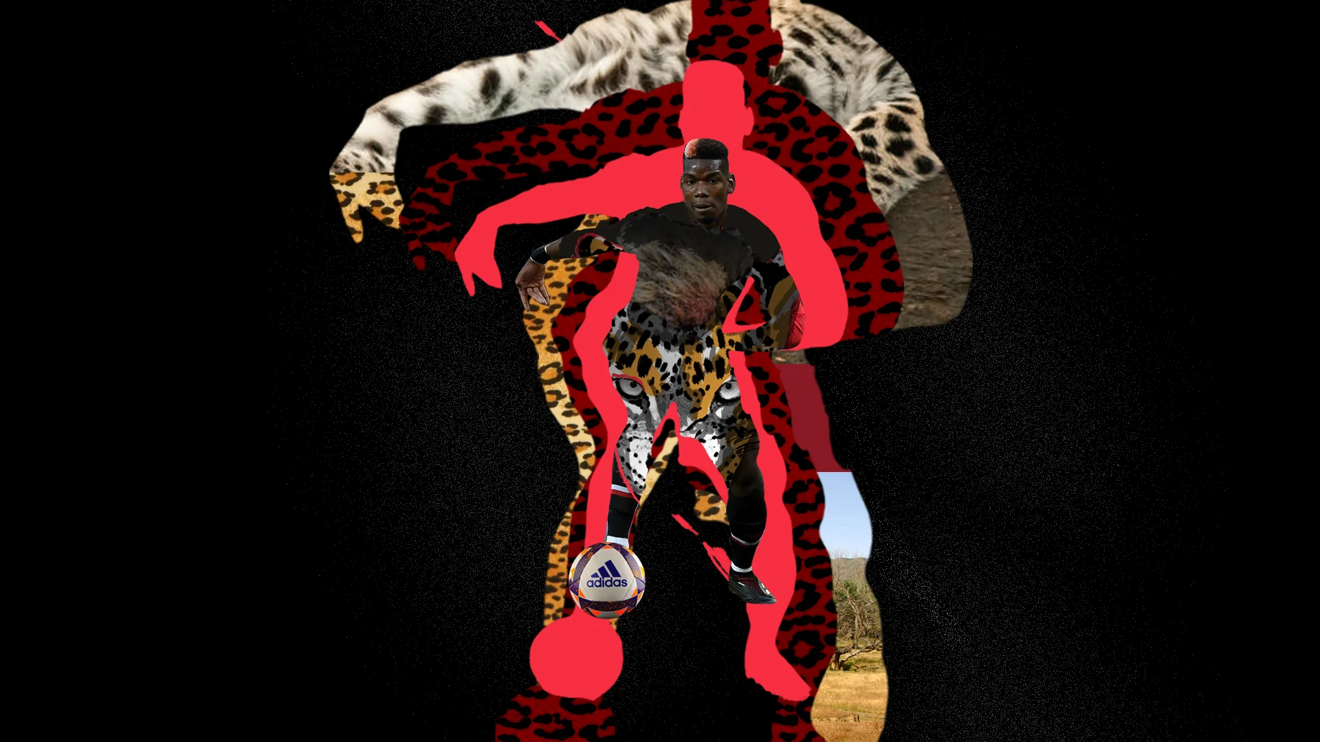 pogba_5.jpg