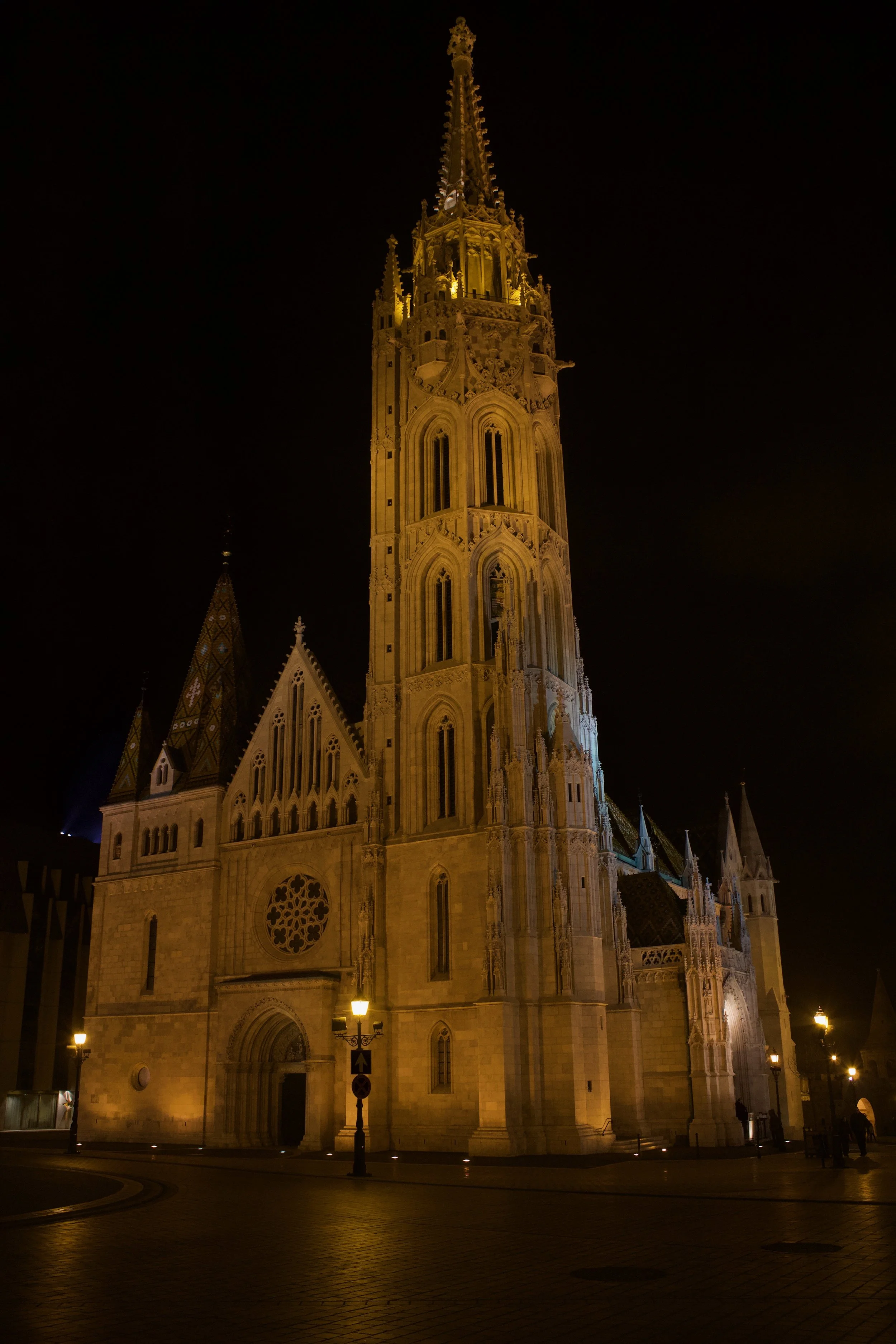 IMG_7813.jpg