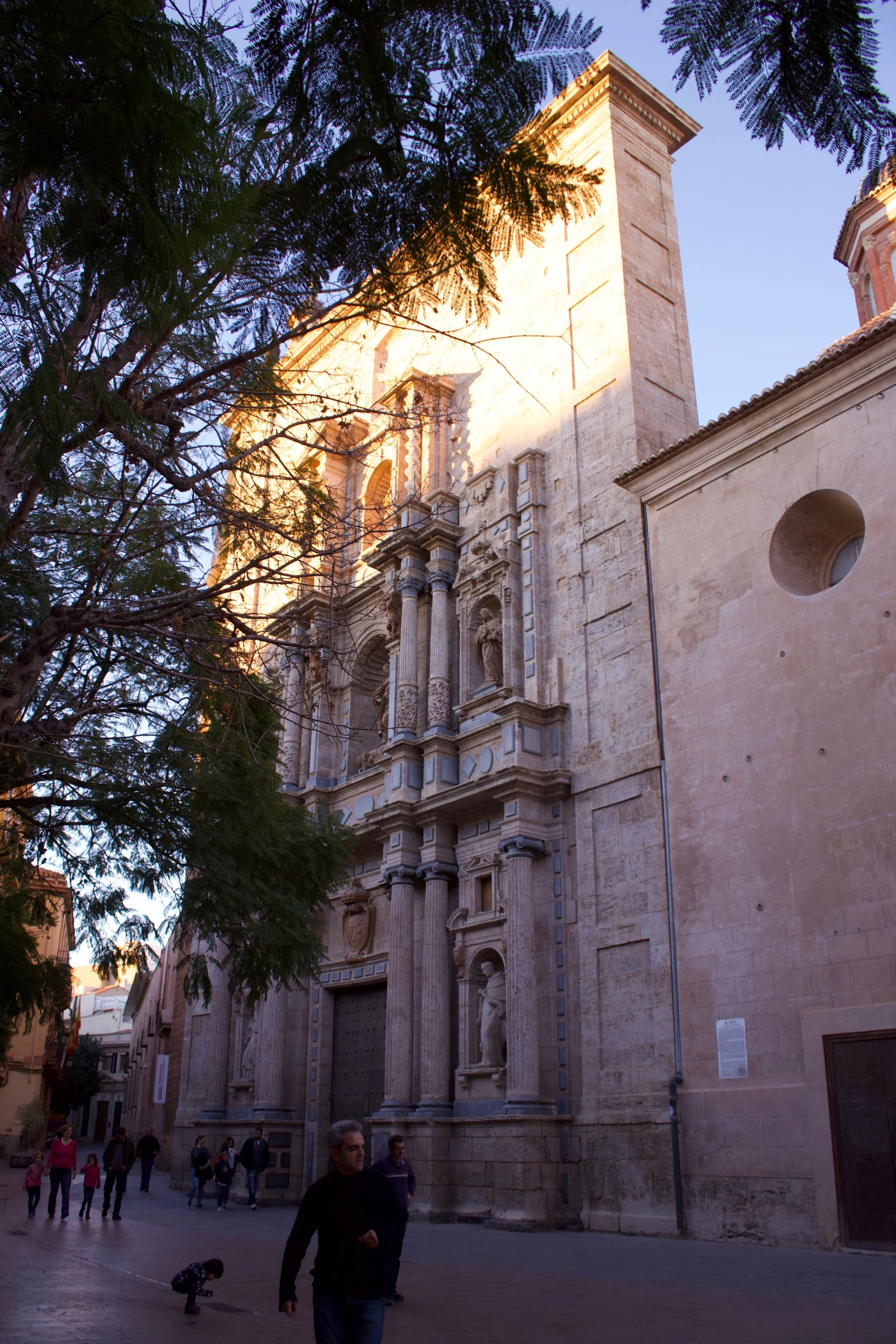 IMG_7986.jpg
