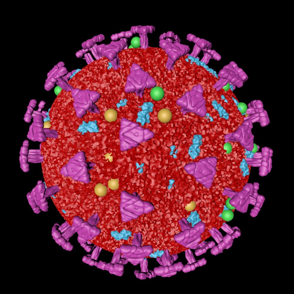 Coronavirus_01.jpg