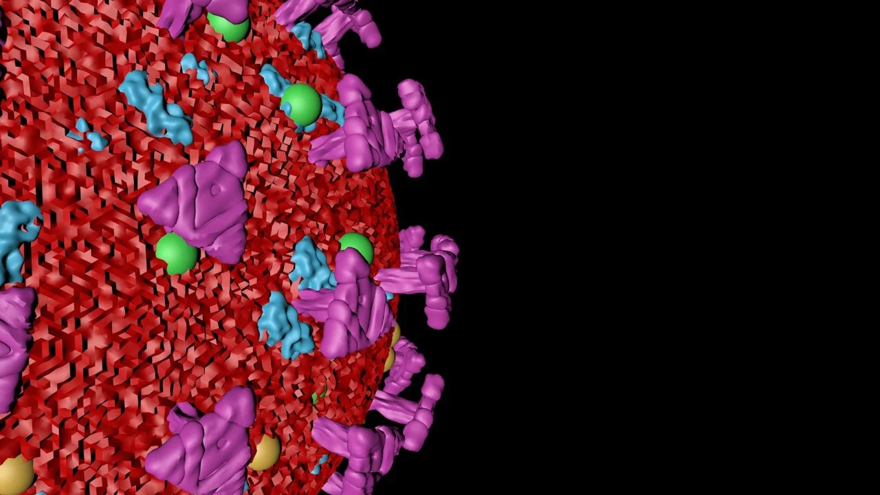 Coronavirus_03.jpg