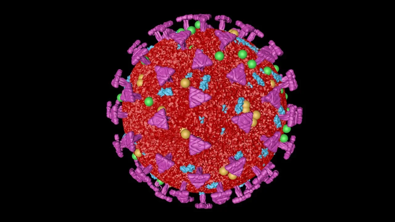 Coronavirus_04.jpg