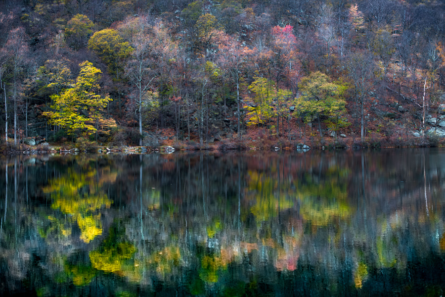 Autumn Lake Reflection