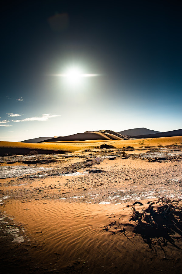 Sossusvlei: Sunrise on the Desert Plain