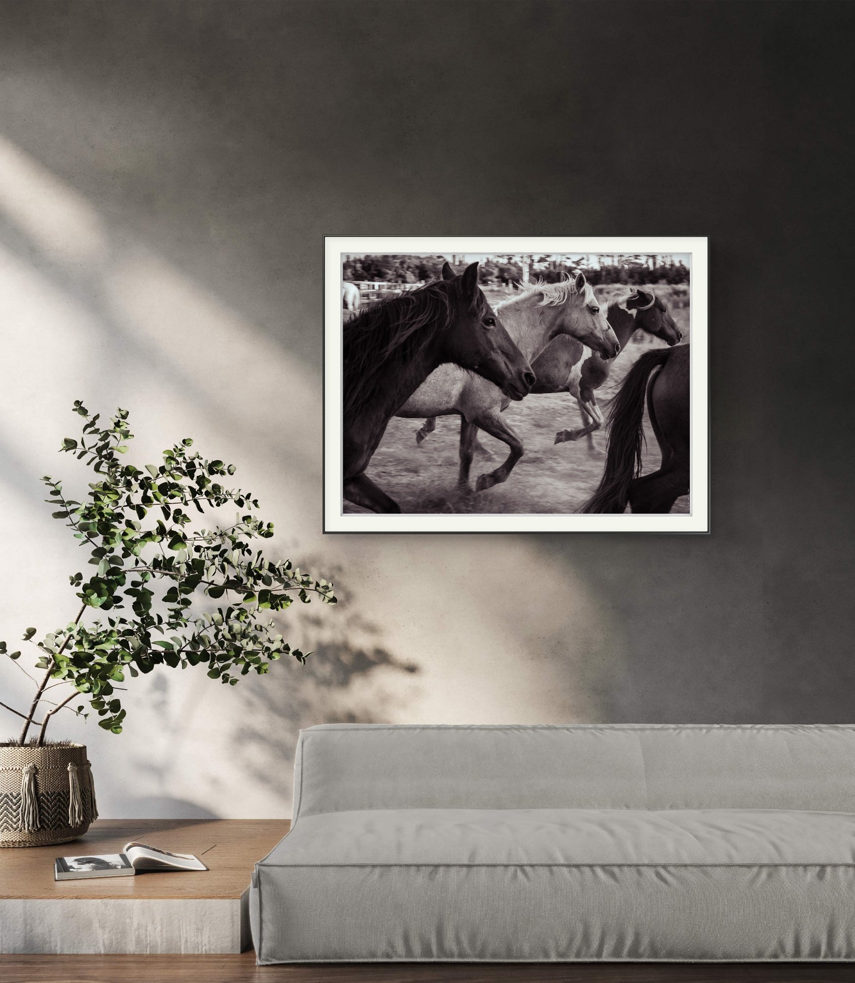 A Trio Among The Herd (Digital Download)