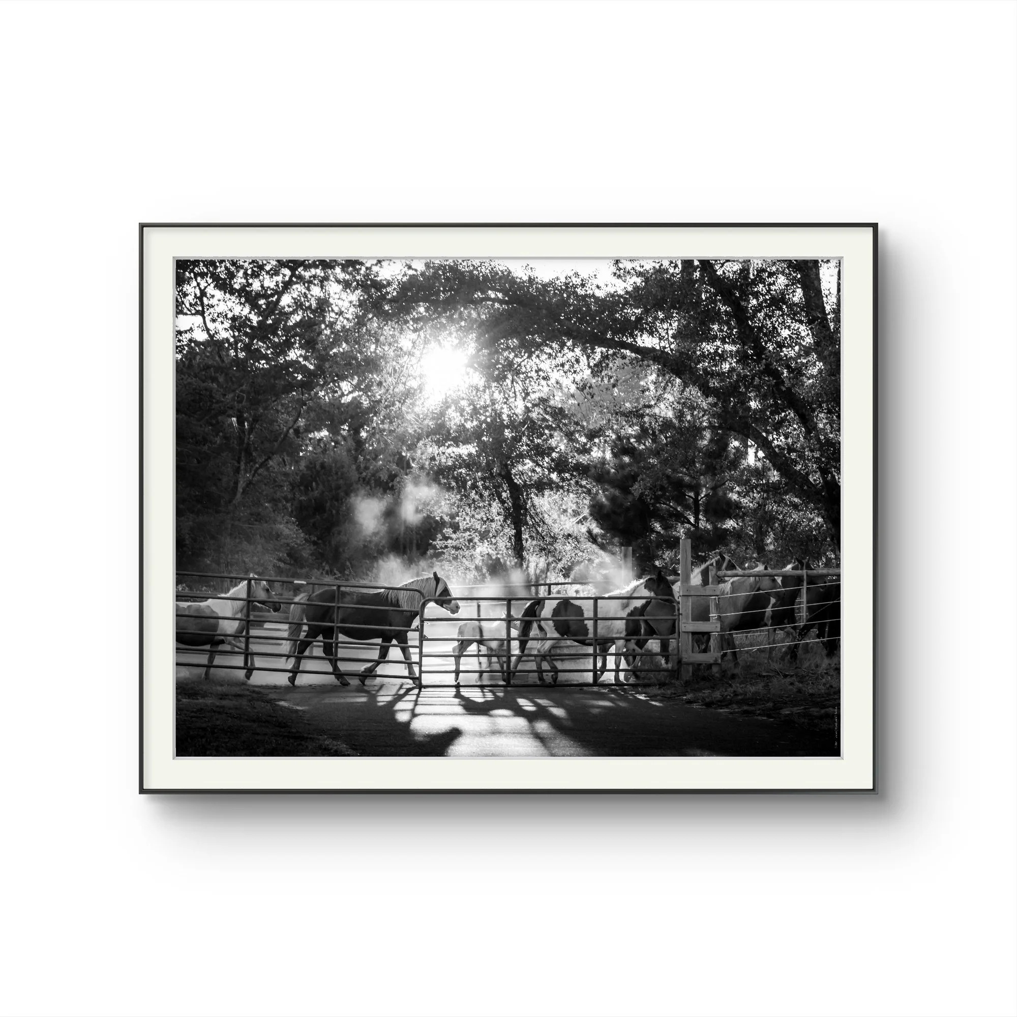 RATIO 4-3 5f61d5a0-4a24-11ef-a6a0-51a5fb3b289b.jpg