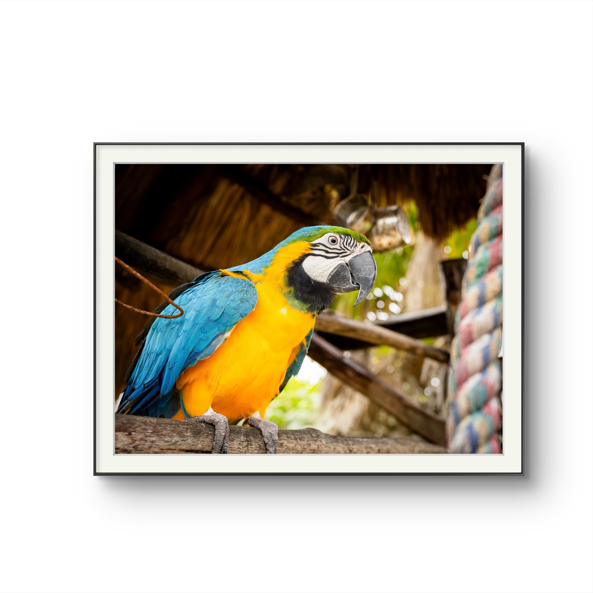 RATIO 4-3 6931ac70-4b98-11ef-9ba1-bb2c1fd18f96.jpg