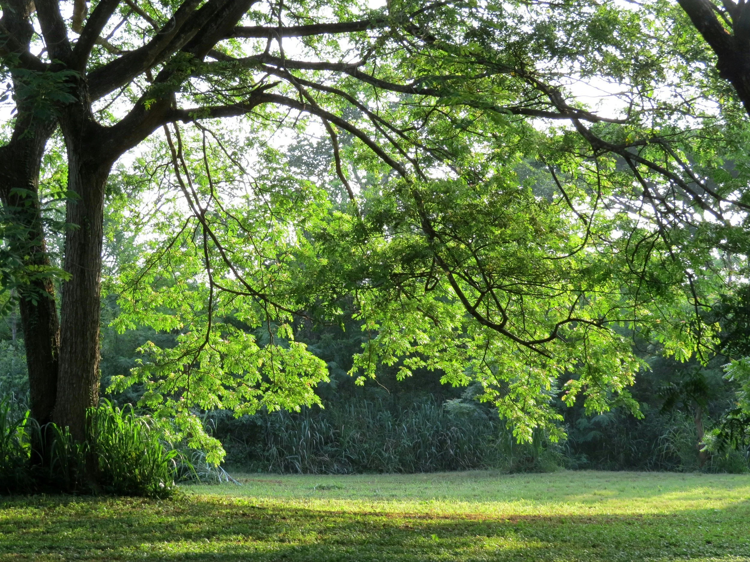 Fall Park Clean-Up (Willow Grove)