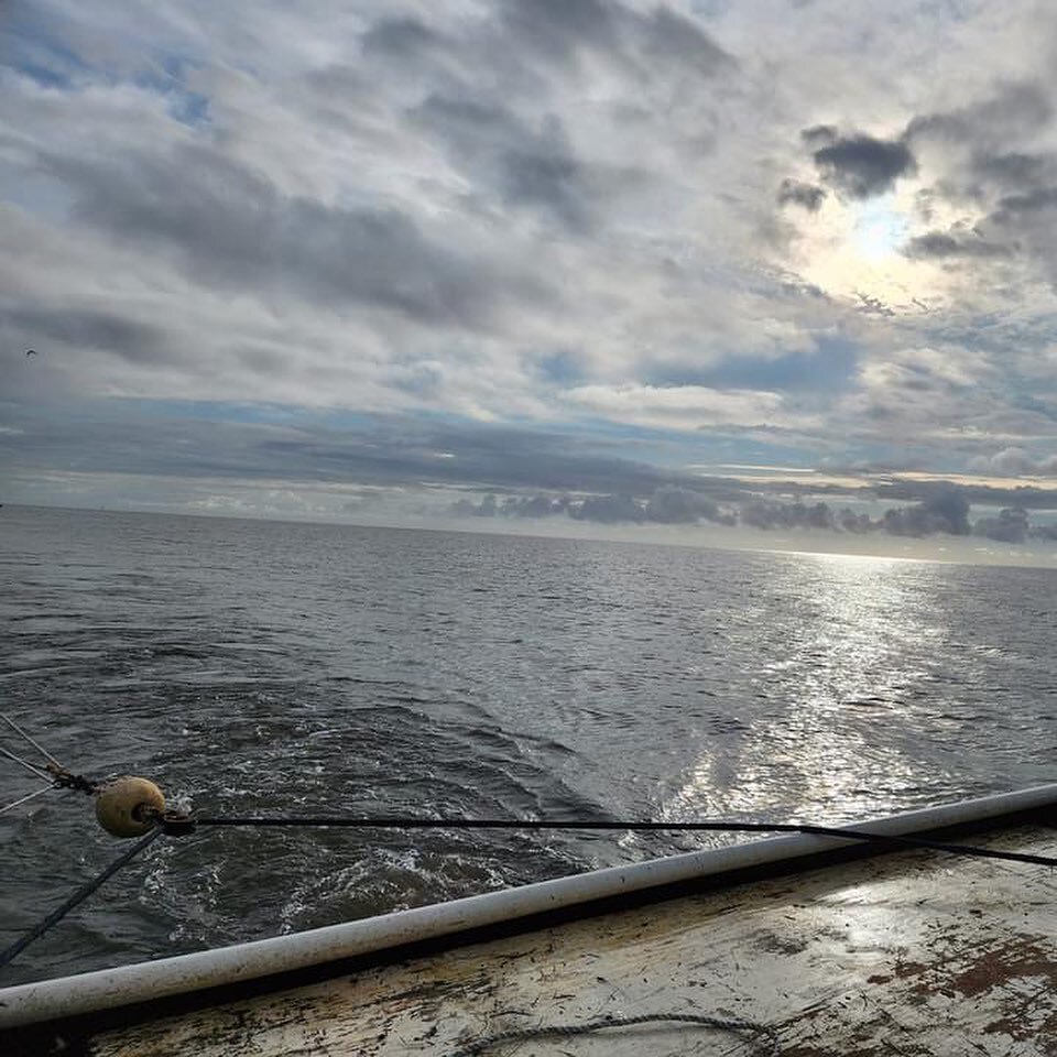 OBX Crabbing & Shrimping Charters